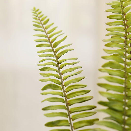 Green Artificial Fern Leaf Spray - Single