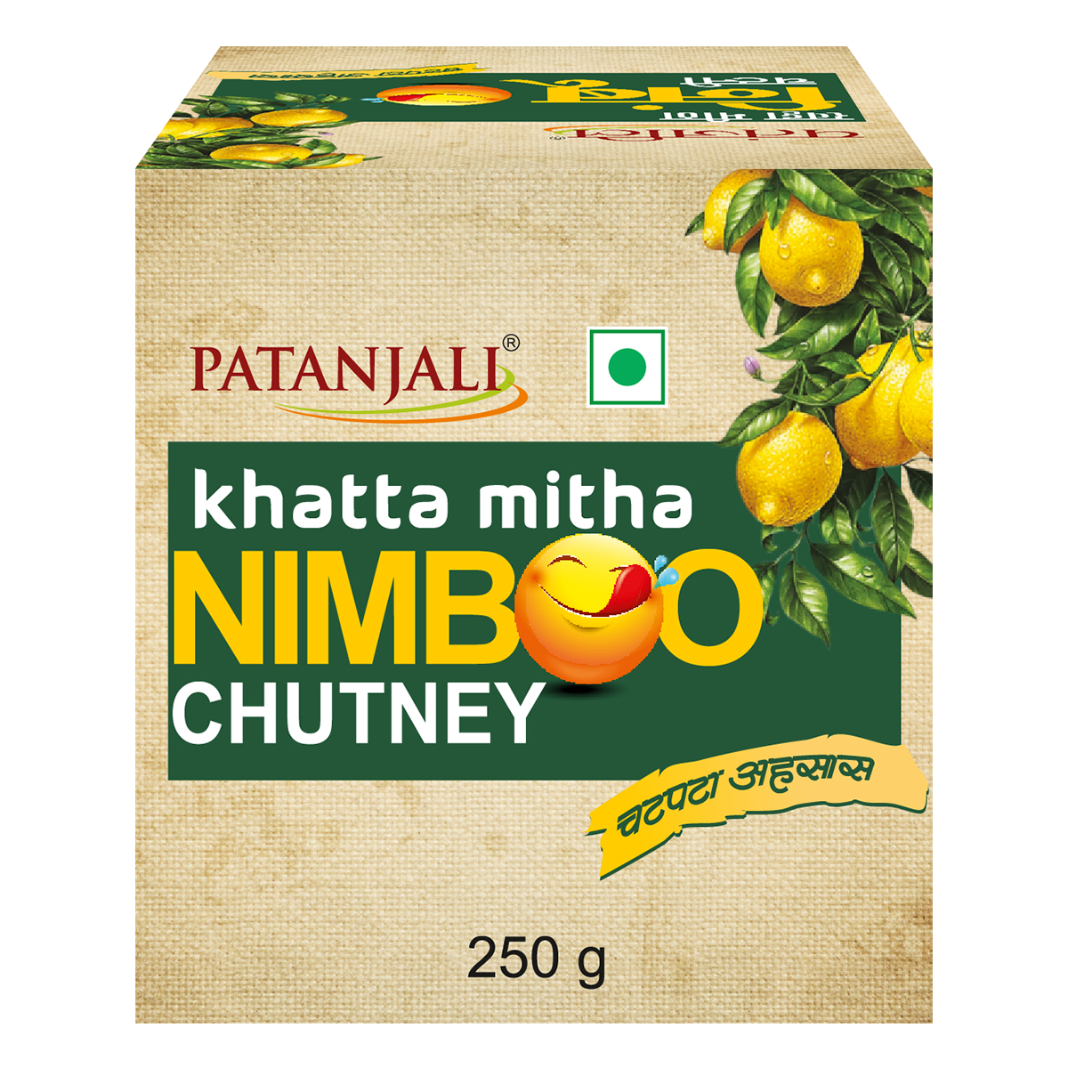 Patanjali Khatta Mitha Nimboo Chutney (250 g)
