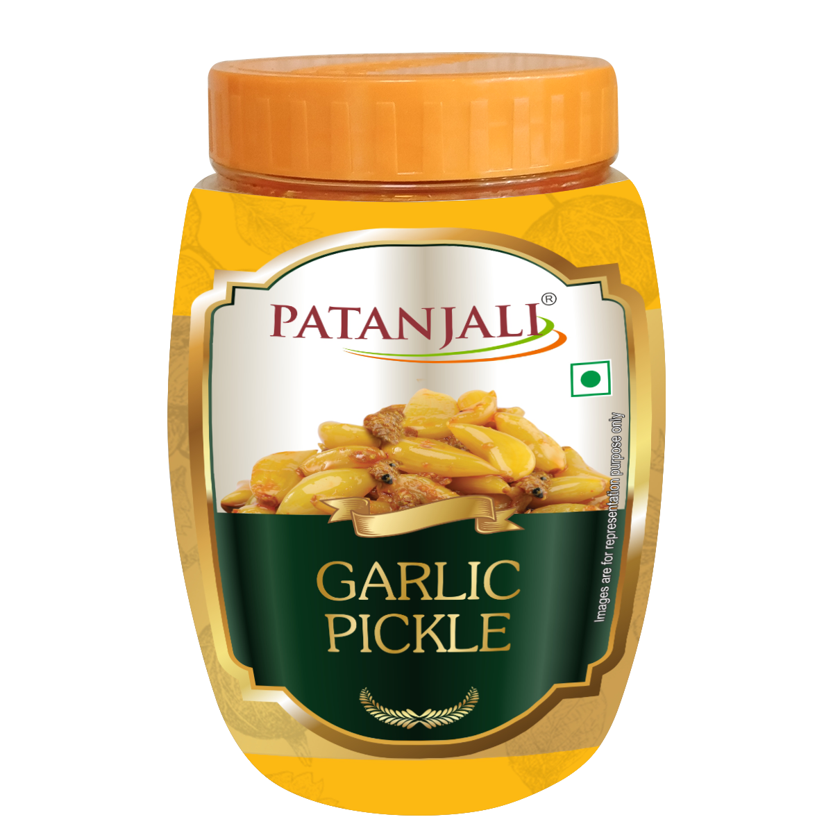 【Patanjali】 Patanjali Garlic Pickle 500g|パタンジャリ ガーリックピクルス|500g
