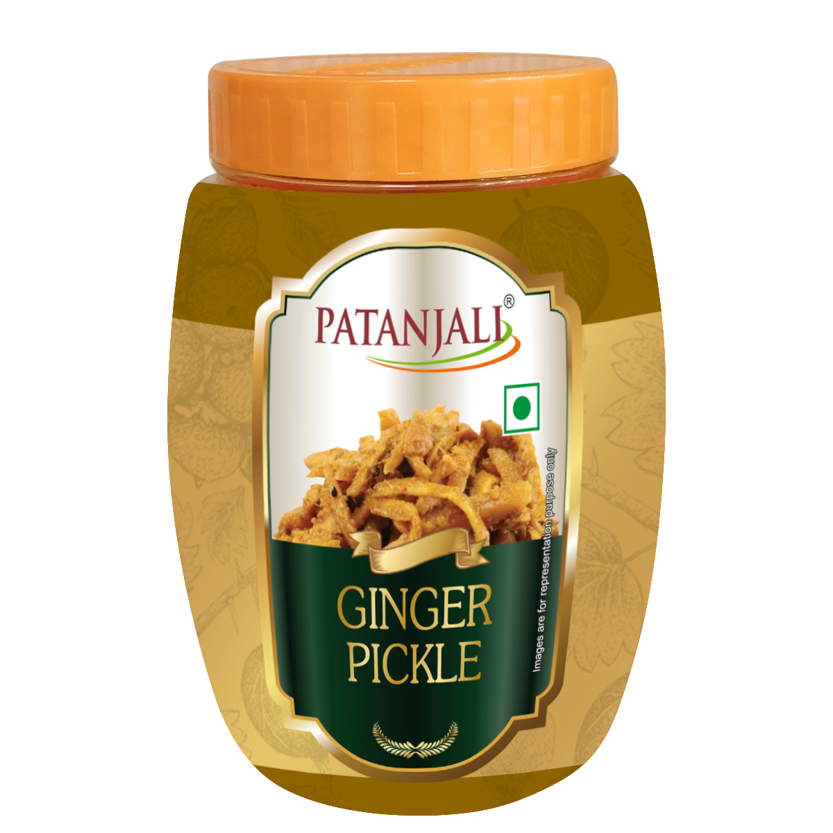 【Patanjali】 Patanjali Ginger Pickle 500g|パタンジャリ ジンジャーピクルス|500g