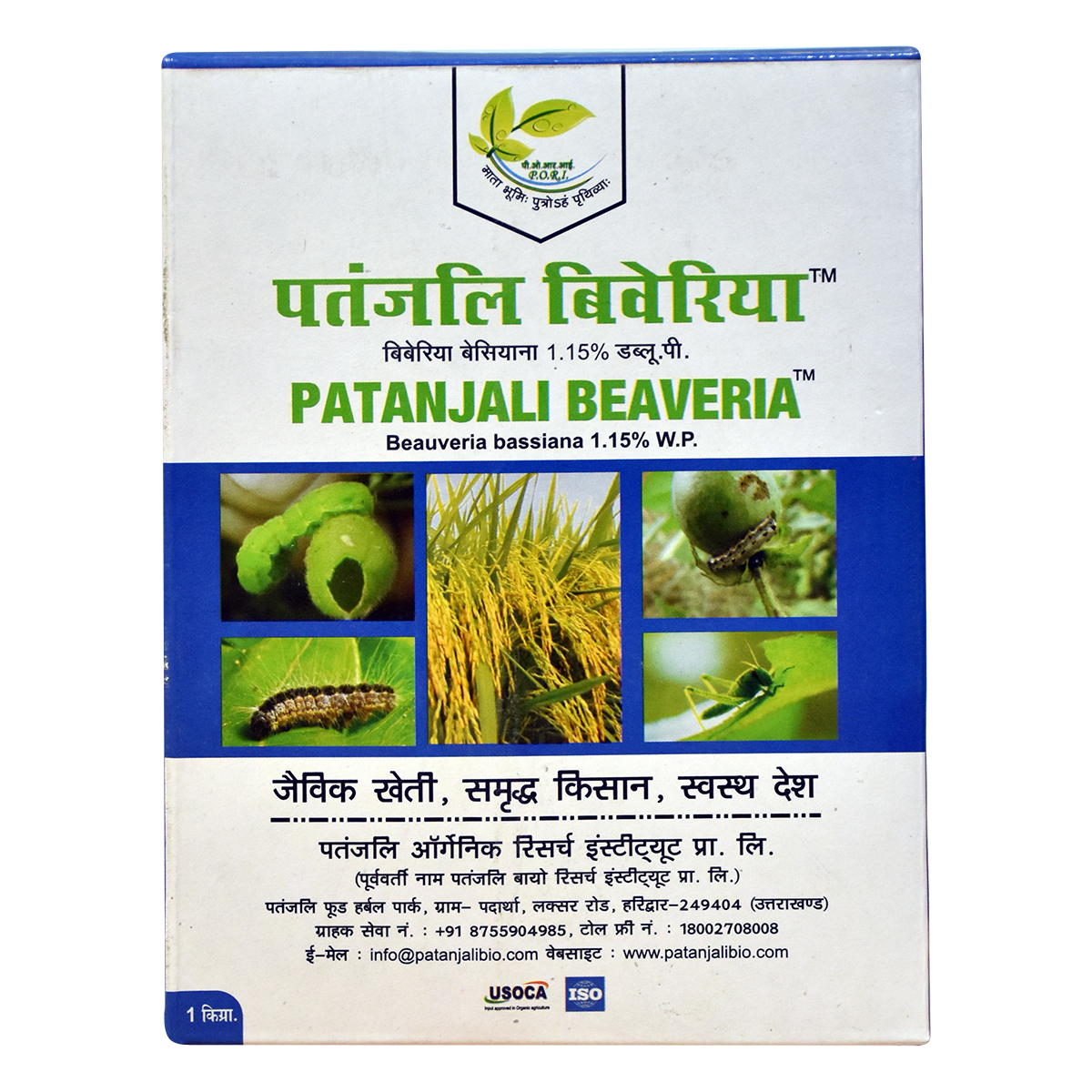Patanjali Beaveria (1 kg)