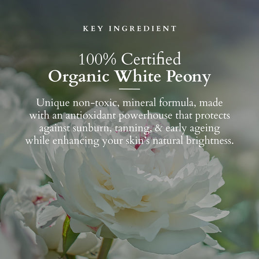 Organics+ Sheer Brightening Mineral Sunscreen SPF 50 PA+++ 100G