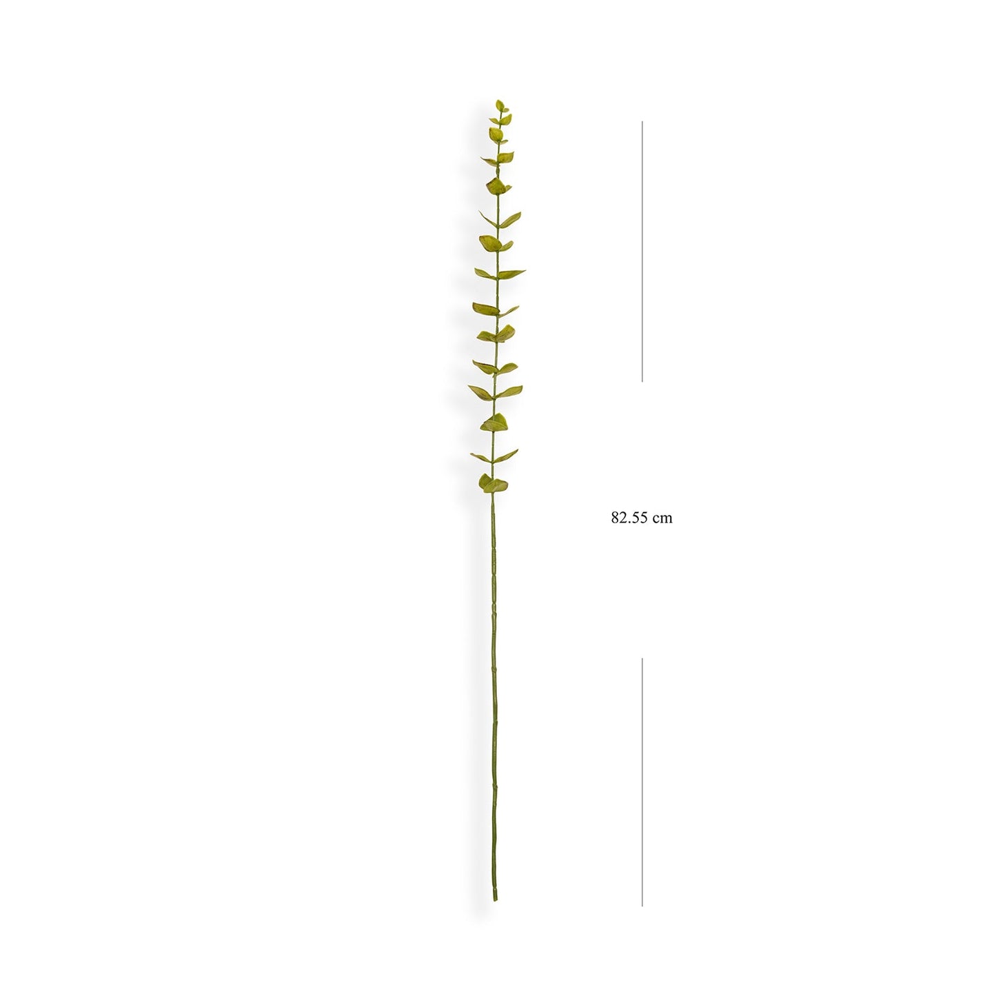 Green Artificial Eucalyptus Flower Leaf - Single
