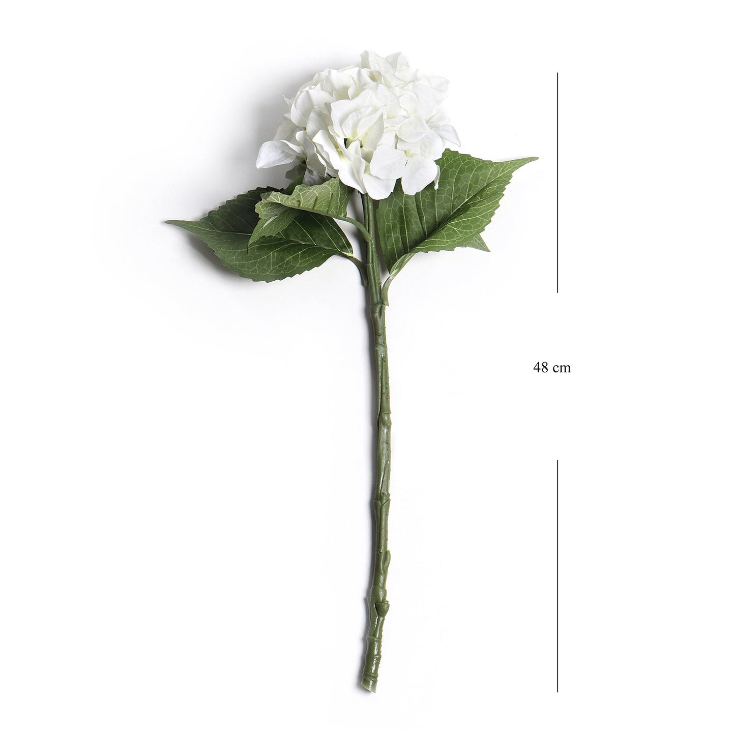 Hydrangea Ivory Stem