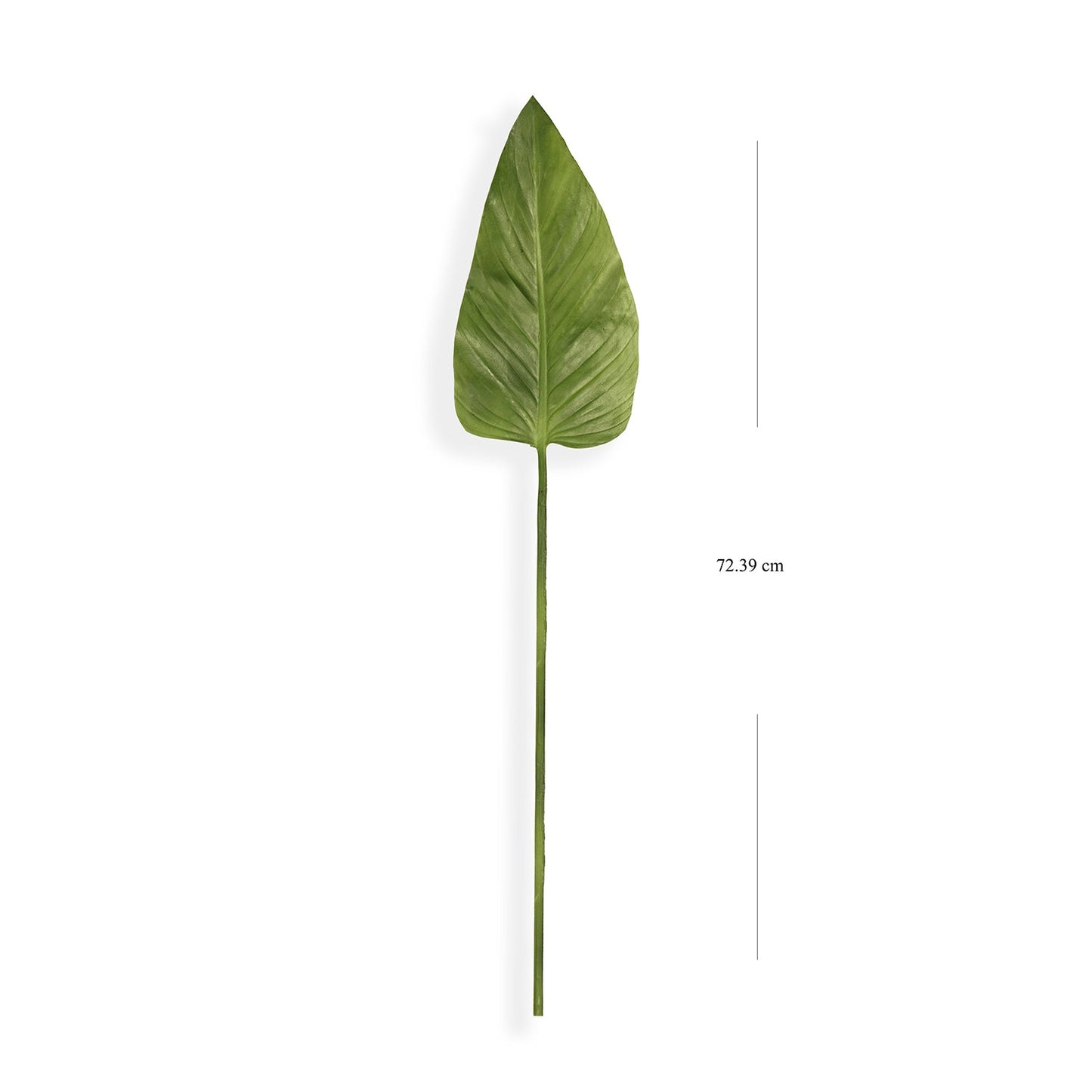 Green Calla Leaf Spray