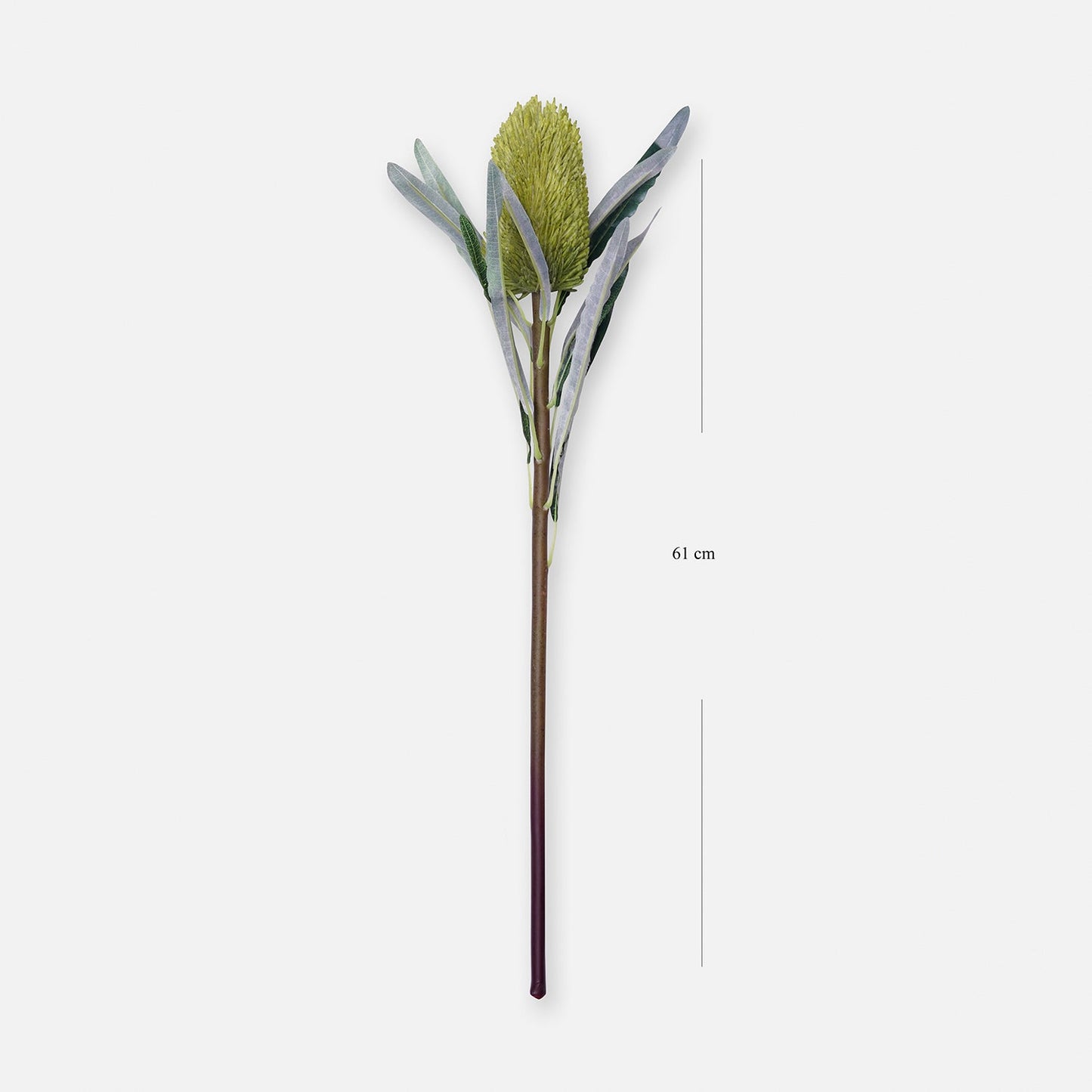 Green Protea Single Spray
