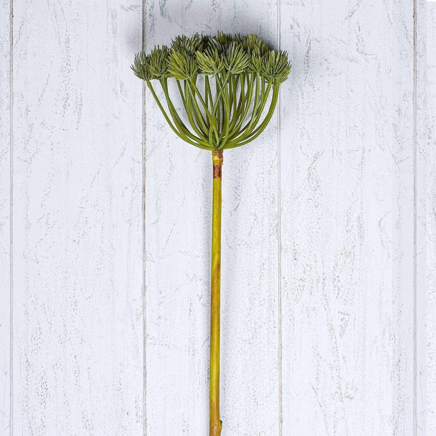 Green Pine Cone Spray