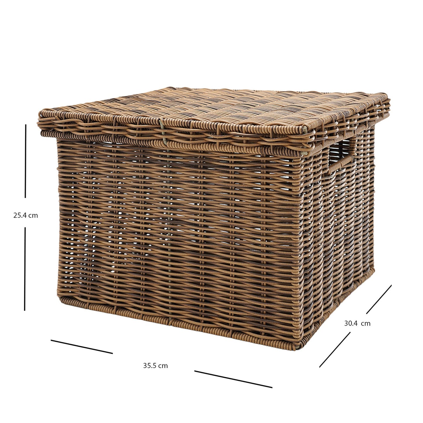 Light Brown Resin Wicker Multipurpose Storage Box With Lid