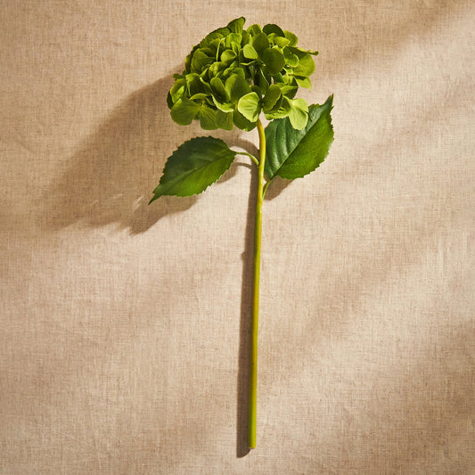 Green Hydrangea Faux Flower Stem - Single