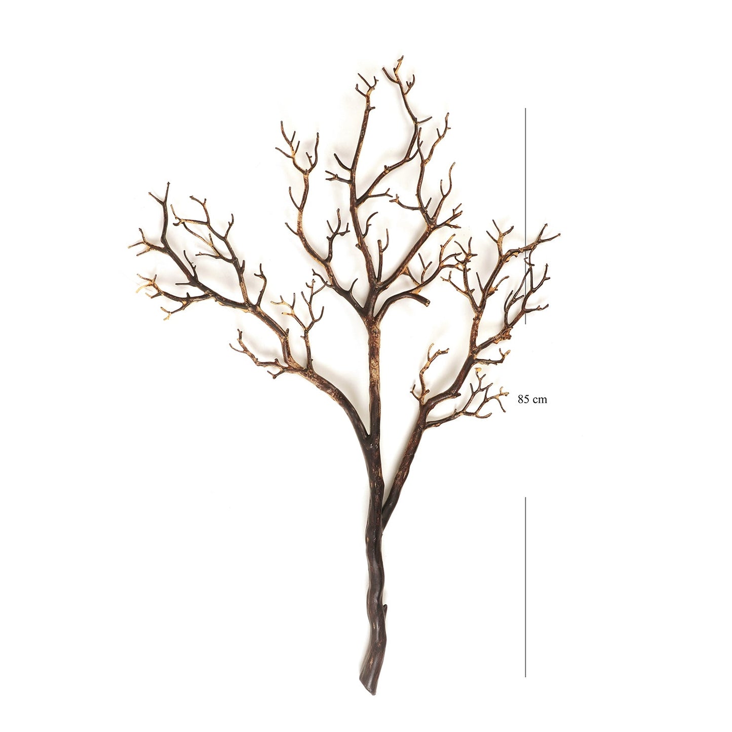 Brown Dry Stem