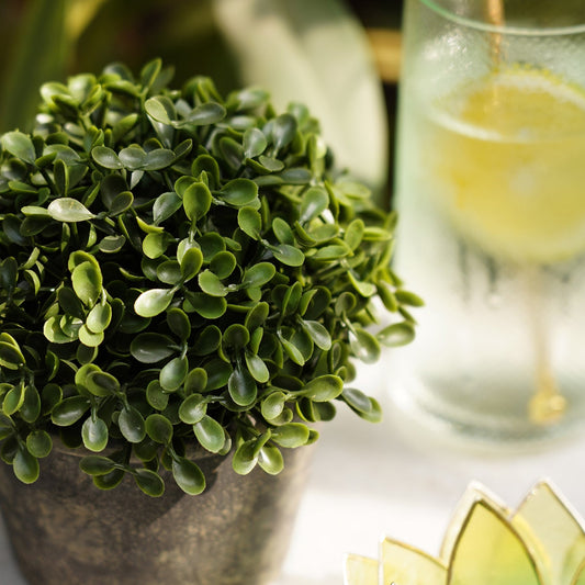 Green Artificial Camillia Leaves with Pot