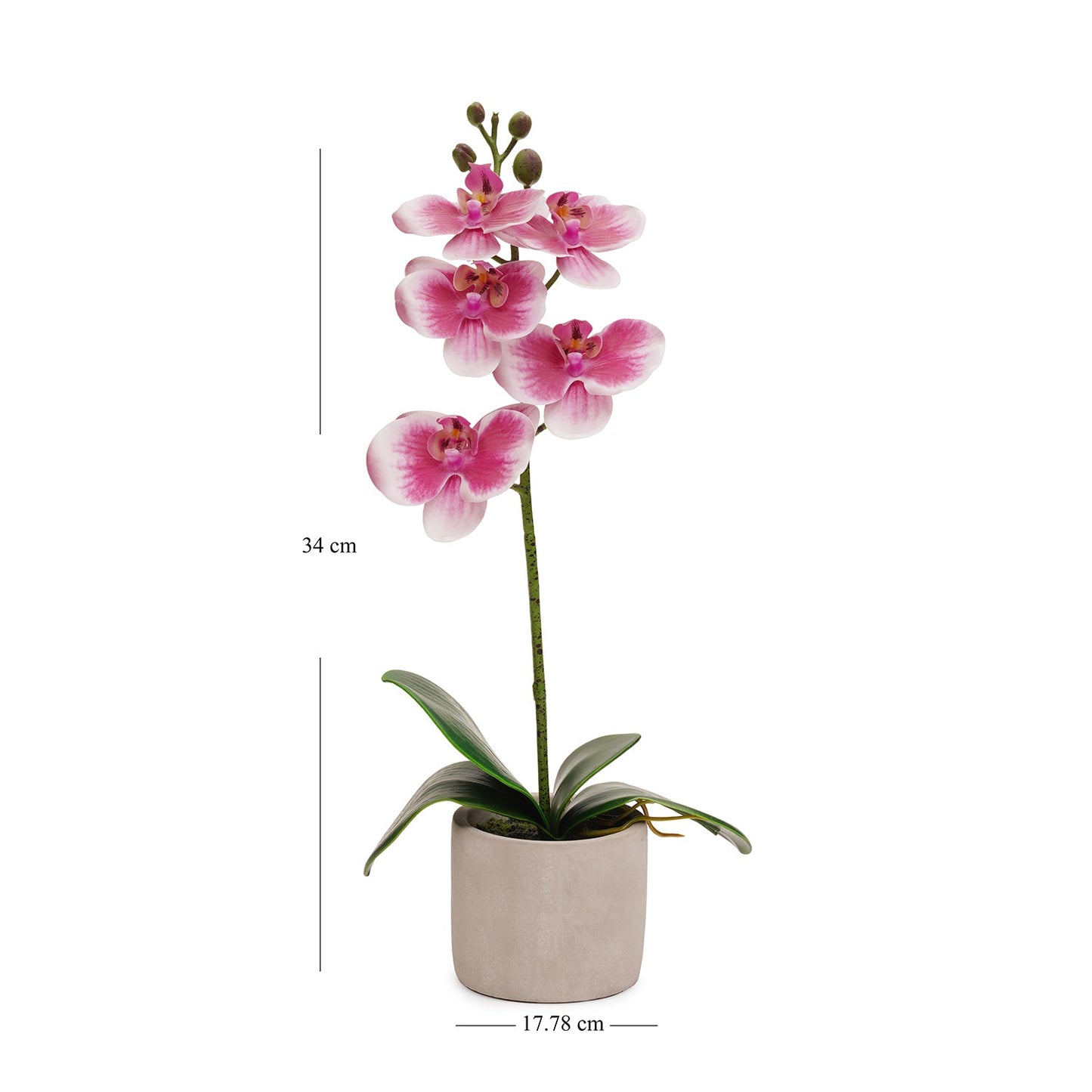 Pink Artificial Orchid in Cement Pot