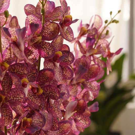 Plum Mokara Artificial Flower Stem - Single