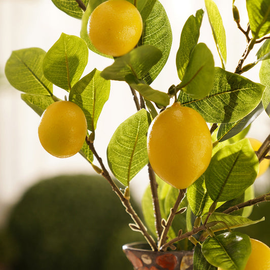 Yellow Lemon Artificial Stem - Single