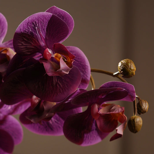Purple Phalaenopsis Artificial Flower Stem - Single