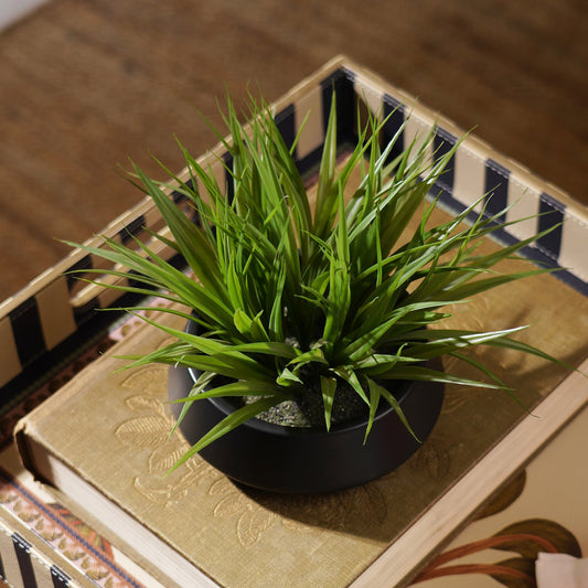 Green Artificial Grass in Cement Pot - Medium