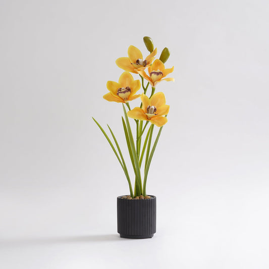 Yellow Artificial Cymbidium in Ceramic Pot