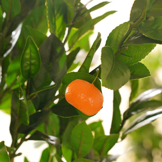 Green Orange Faux Citrus Potted Plant - Large