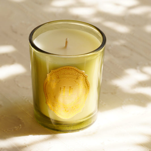 Set of 2 Light Green Jasmine Garland Scented Wax Filled Jar Candle and Diffuser