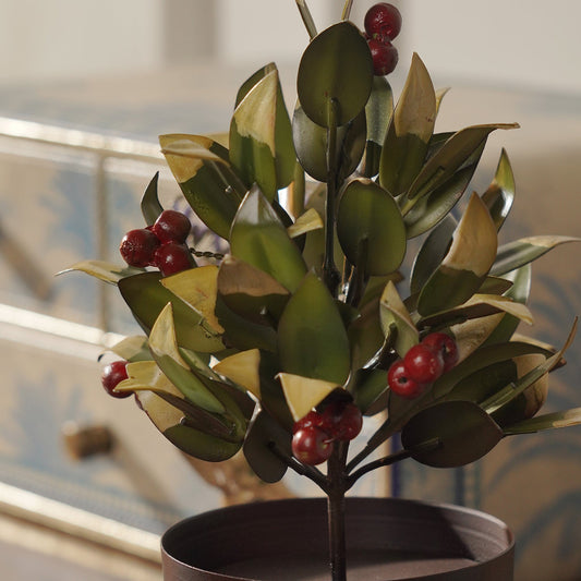 Red Olive Metal Plant