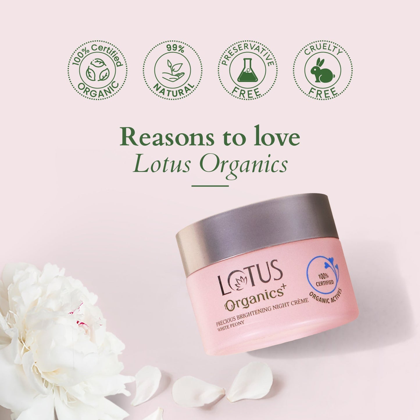 Precious Brightening Night Creme