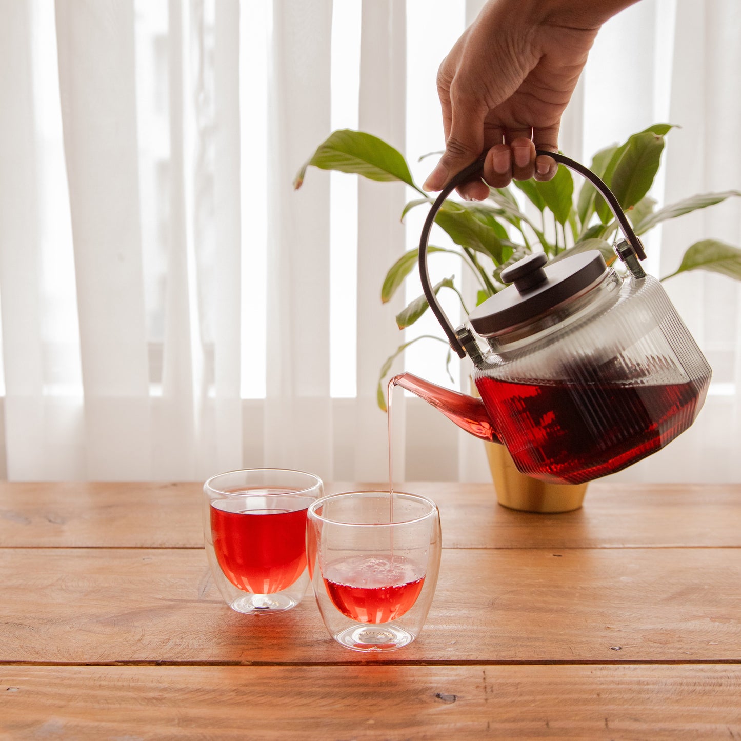 Octavius Prism Brew Borosilicate Glass Kettle – 600 ml 600ml