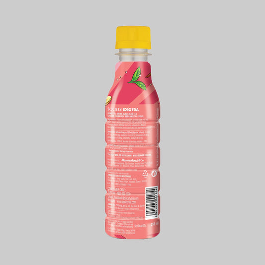 Society Iced Tea Bottle Ginger 250 ml 250ml