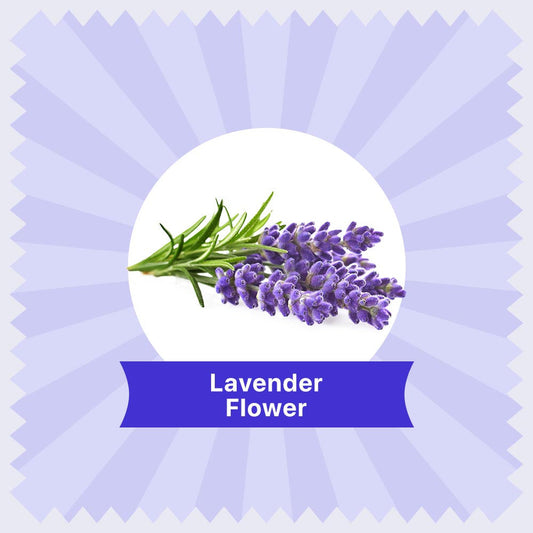 Lavender Herbal Tea - 30g (30 Cups) 30G