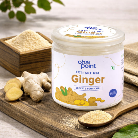 Ginger Extract Powder – 250g 250g