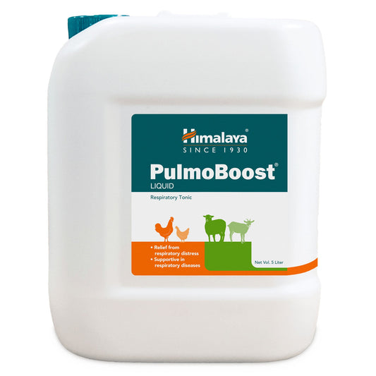 PulmoBoost 1 Liter