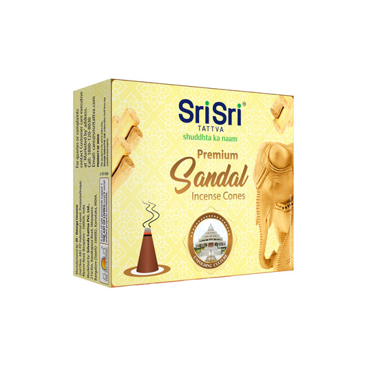 Premium Sandal Incense Cones For Pooja | 12 Dhoop Cones | Fragrances – Natural Sandal | Free Stand | 25 g 25g