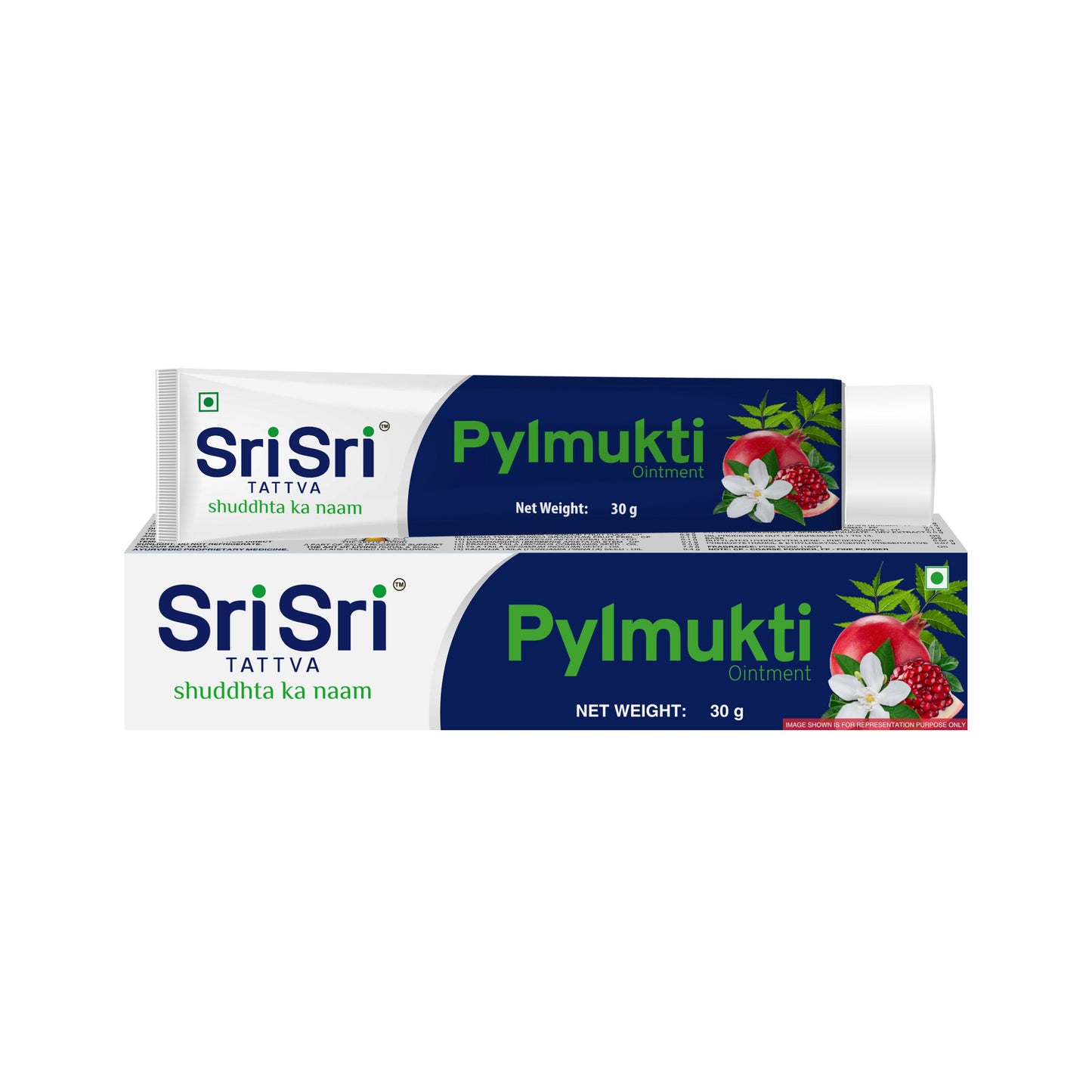 【Sri Sri Tattva】 Pylmukti Ointment| ピルムクティ 軟膏| 30g