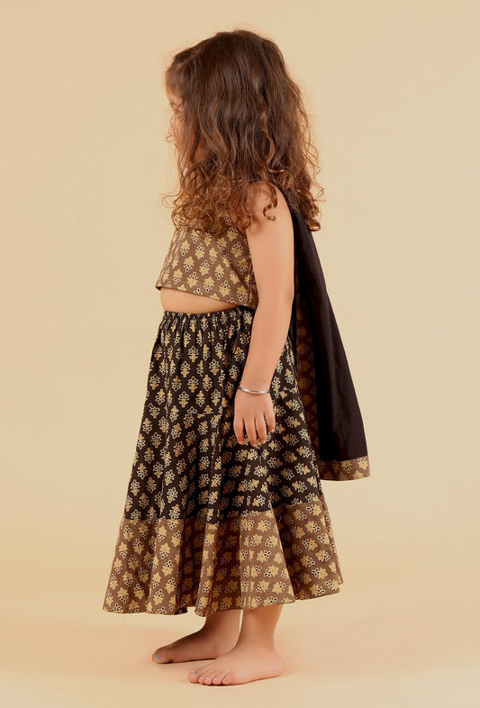 Set of 3: Adya Khaki Ajrakh Print Cotton Top, Black Skirt & Dupatta サイズ 4〜5歳