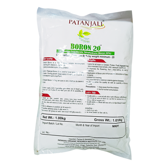 PATANJALI BORON 20