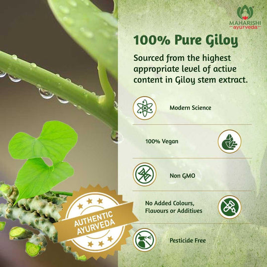 Giloy Ghan Vati Tablets