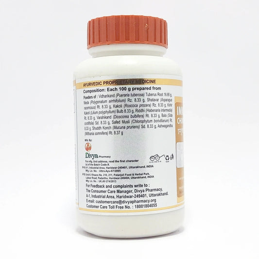 Divya Immunogrit Churna (100 Gram)