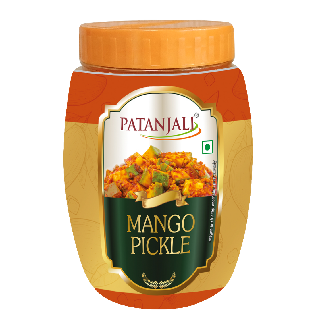 Patanjali 【Patanjali】 Mango Pickle｜マンゴーピクルス｜500g｜現地直輸入で買える日本国内最安級【インドの森】
