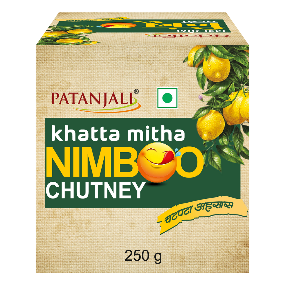 Patanjali 【Patanjali】 Khatta Mitha Nimboo Chutney｜カッタミータ ニ｜250g｜現地直輸入で買える日本国内最安級【インドの森】