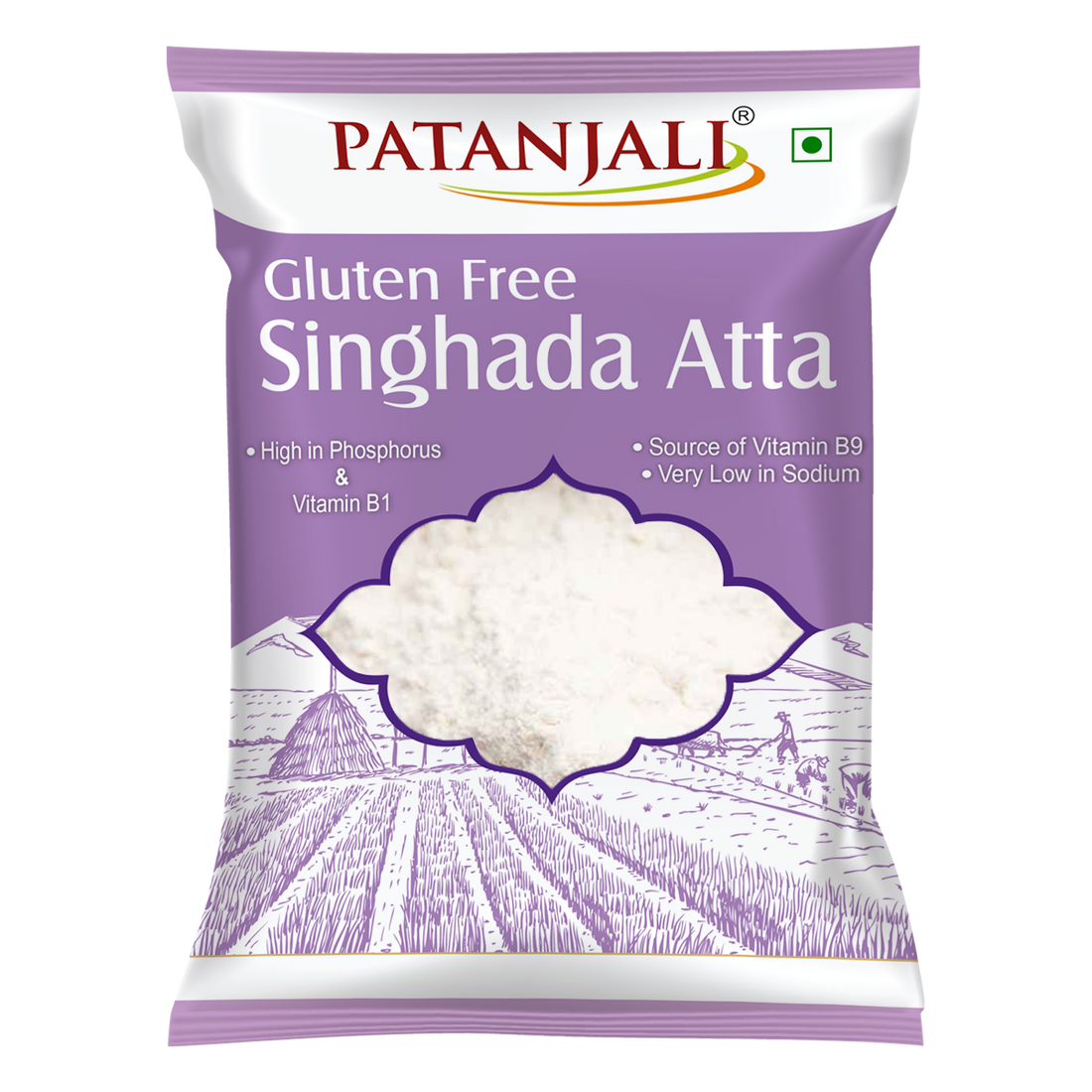 Patanjali 【Patanjali】 Singhada Atta｜シンガダ アタ粉｜500g｜現地直輸入で買える日本国内最安級【インドの森】