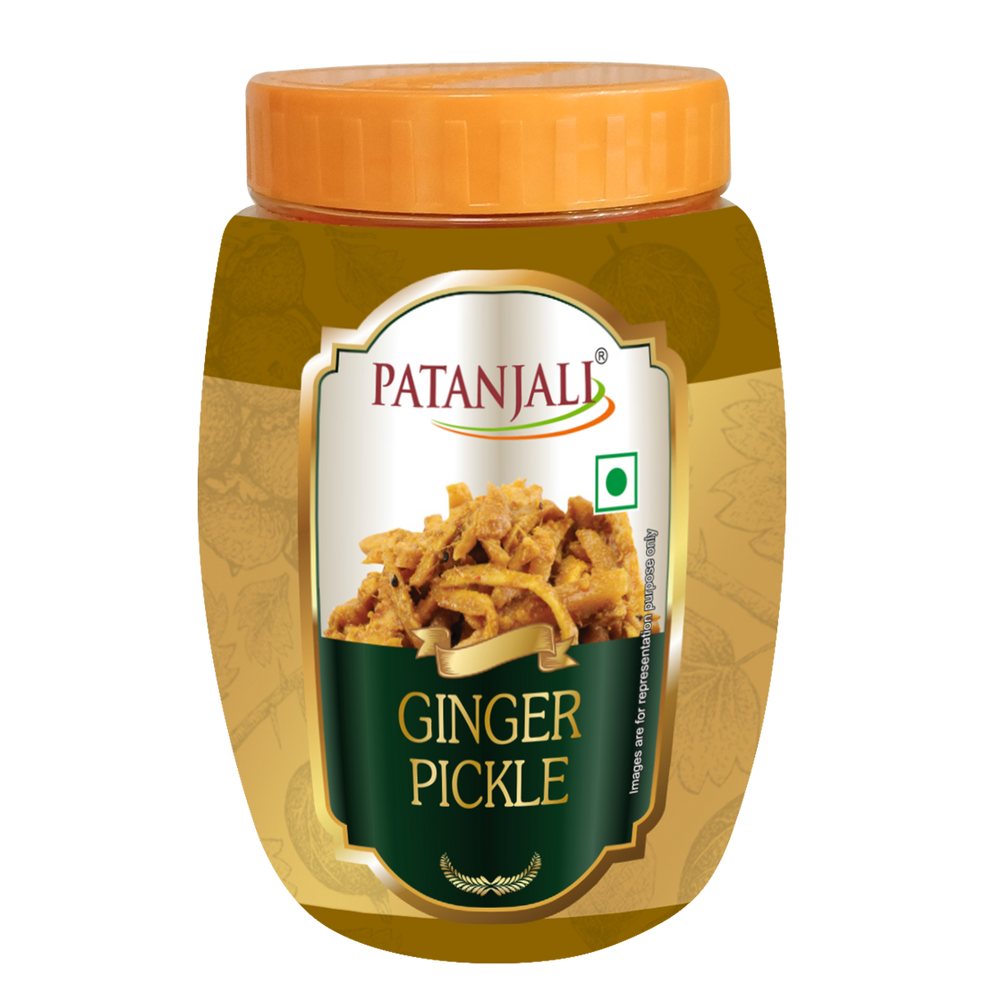 Patanjali 【Patanjali】 Ginger Pickle｜パタンジャリ ジンジャーピクルス｜500g｜インド現地からお取り寄せ【インドの森】