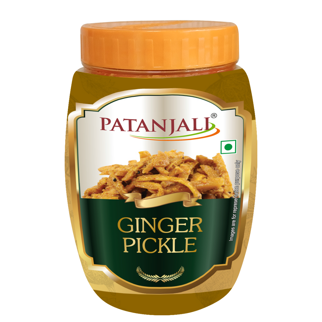 Patanjali 【Patanjali】 Ginger Pickle｜ジンジャーピクルス｜1000g｜インド現地からお取り寄せ【インドの森】