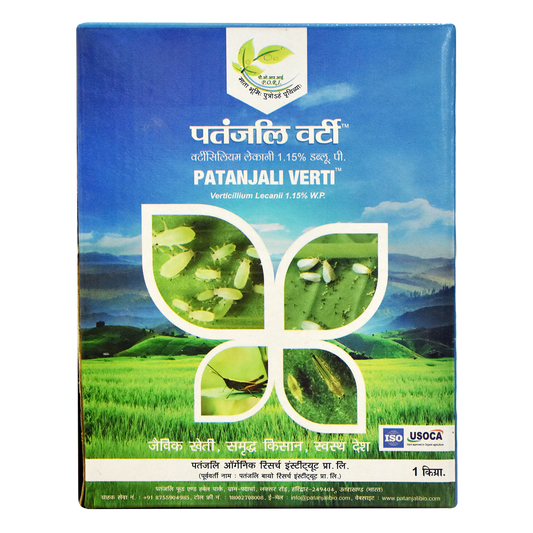 Patanjali 【Patanjali】 Verti｜ヴェルティ｜1000g｜現地直輸入で買える日本国内最安級【インドの森】