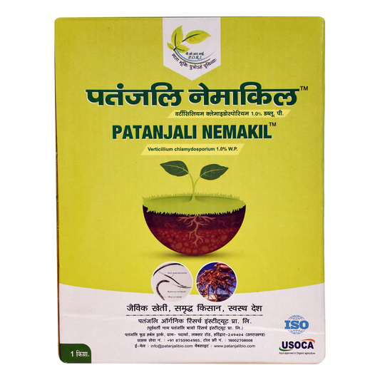 Patanjali 【Patanjali】 Nemakill｜ネマキル｜1000g｜現地直輸入で買える日本国内最安級【インドの森】