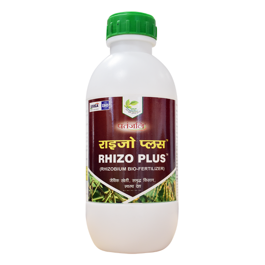 Patanjali 【Patanjali】 Rhizo Plus｜リゾプラス｜1000g｜現地直輸入で買える日本国内最安級【インドの森】