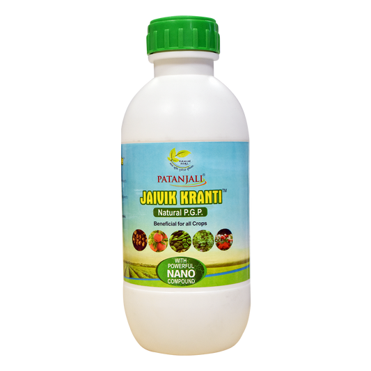 Patanjali 【Patanjali】 Jaivik Kranti｜ジャイヴィク・クランティ｜1000g｜現地直輸入で買える日本国内最安級【インドの森】