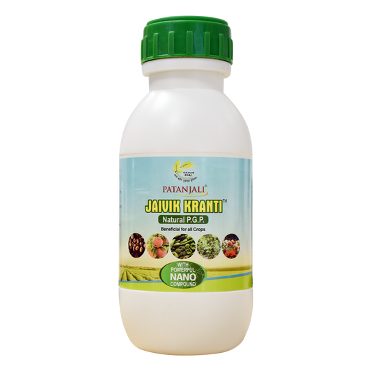 Patanjali 【Patanjali】 Jaivik Kranti｜ジャイヴィク・クランティ｜500g｜現地直輸入で買える日本国内最安級【インドの森】