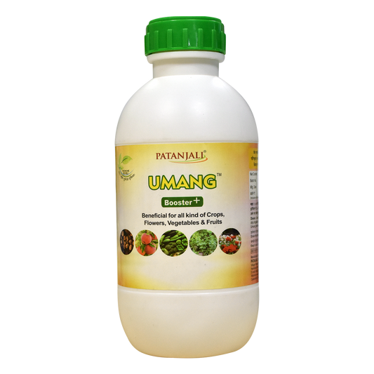 Patanjali 【Patanjali】 Umang｜ウマング｜1000g｜現地直輸入で買える日本国内最安級【インドの森】
