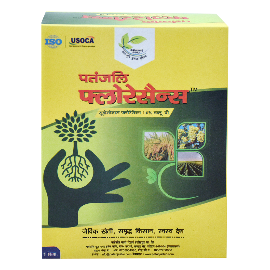 Patanjali 【Patanjali】 Fluorescens｜フルオレッセンス｜1000g｜インド現地からお取り寄せ【インドの森】