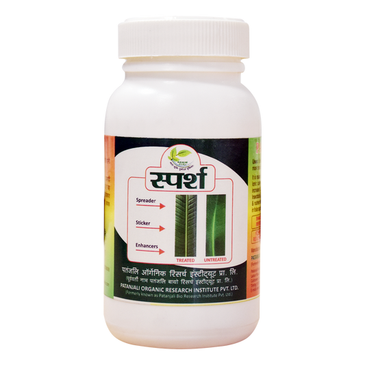 Patanjali 【Patanjali】 Sparsh (250 ml)｜スパル｜250g｜現地直輸入で買える日本国内最安級【インドの森】