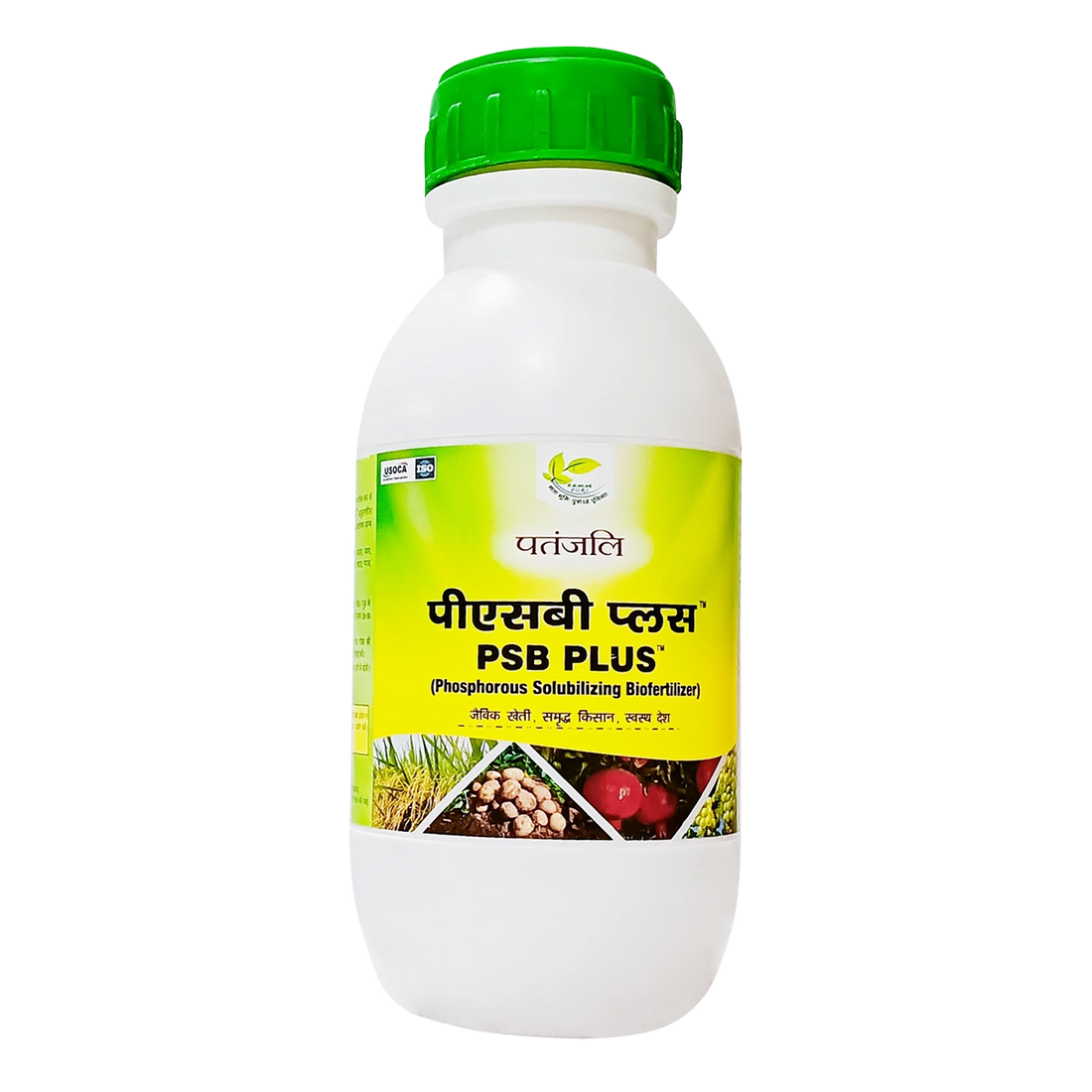 Patanjali 【Patanjali】 PSB｜ピーエスビー｜100g｜現地直輸入で買える日本国内最安級【インドの森】
